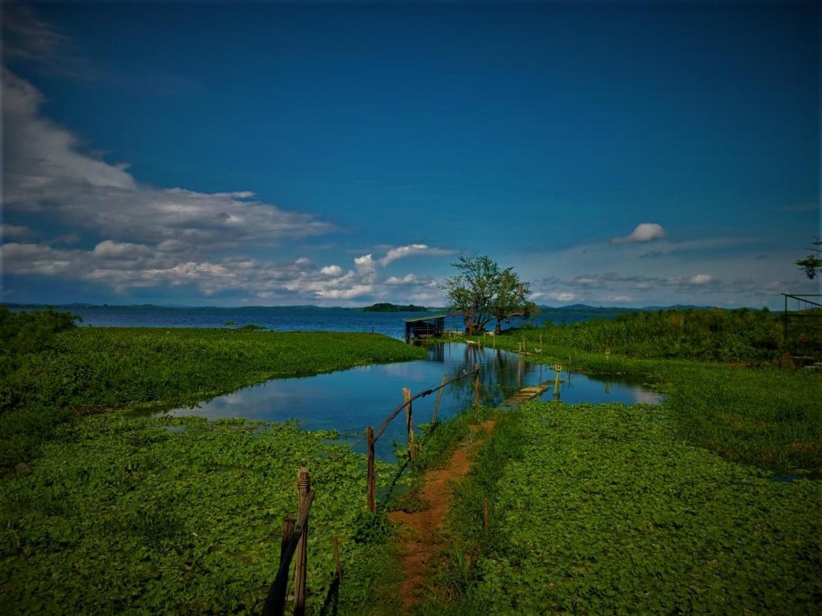 Yellow Haven Lodge Кампала Екстериор снимка